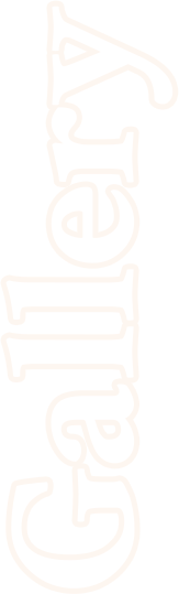 Gallery Text